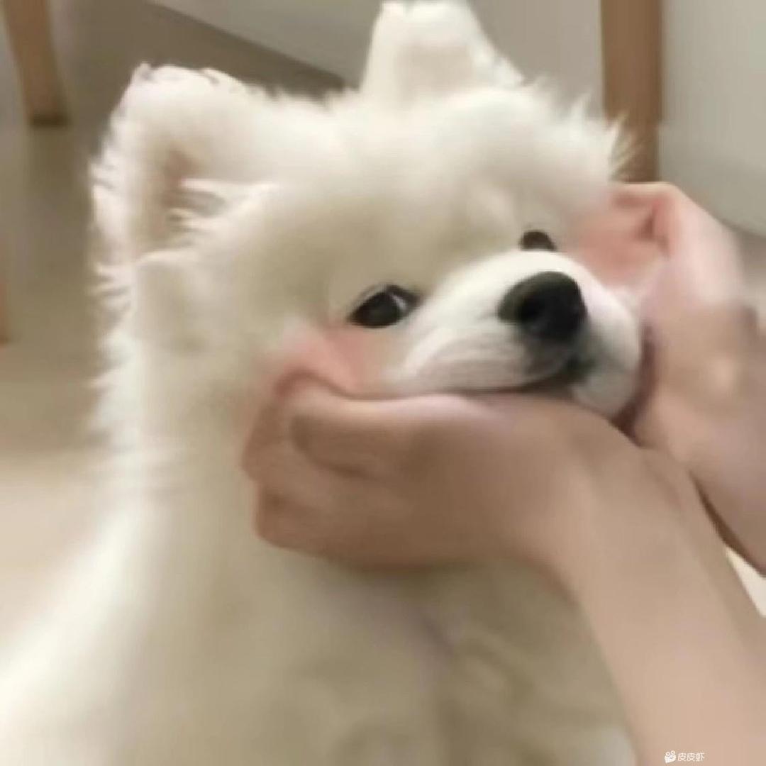 稼轩