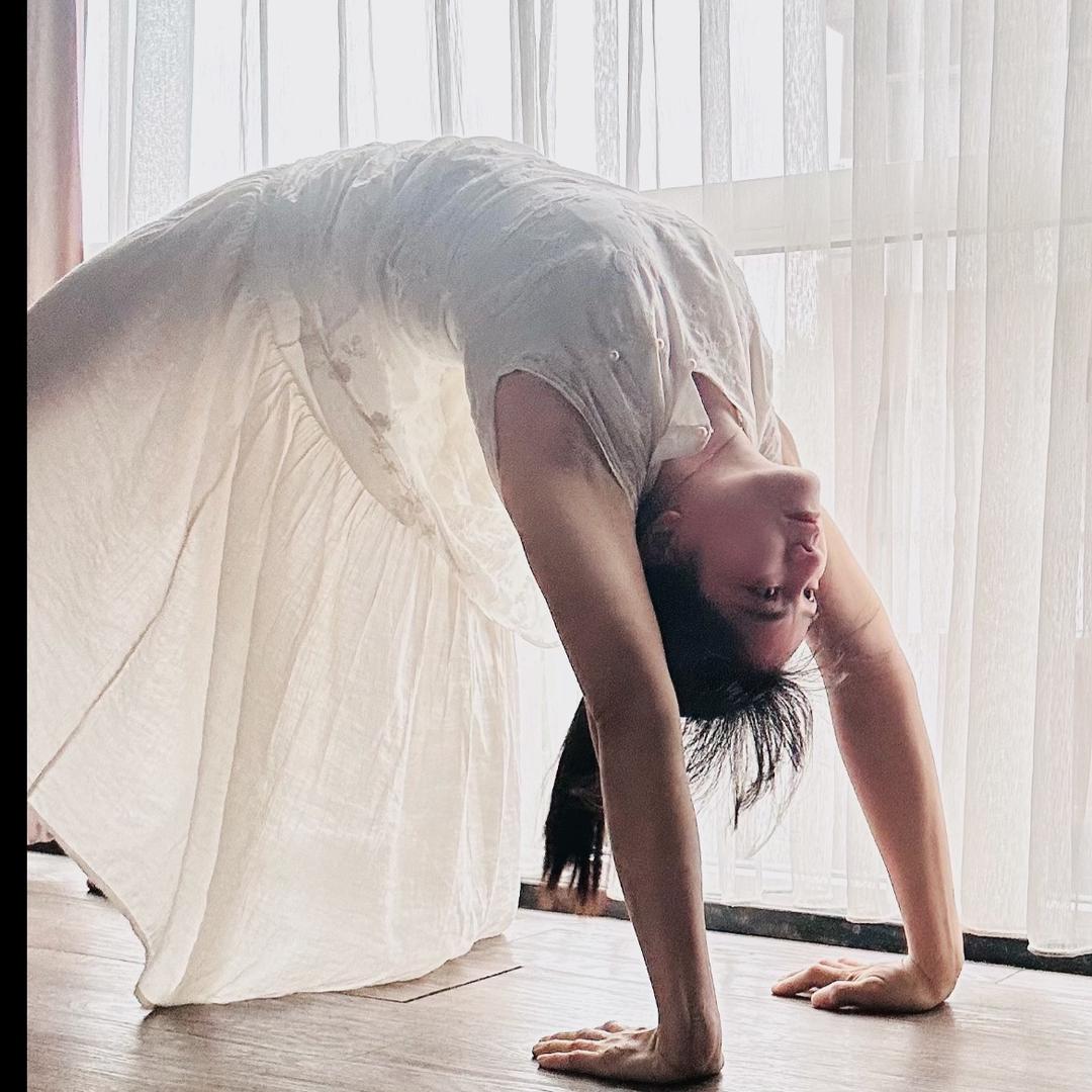 小燕子
