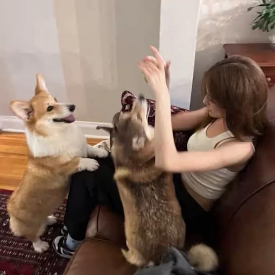 喝八杯水