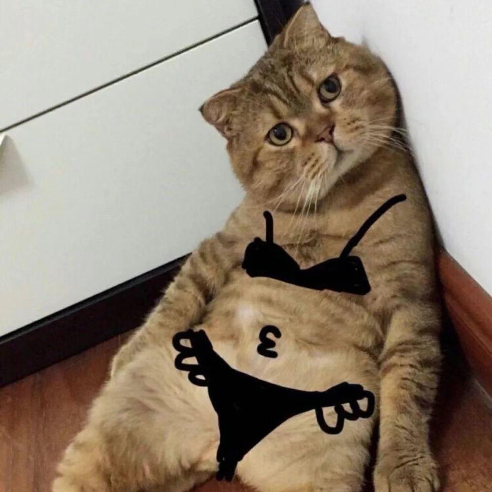 黔行汽车维修服务