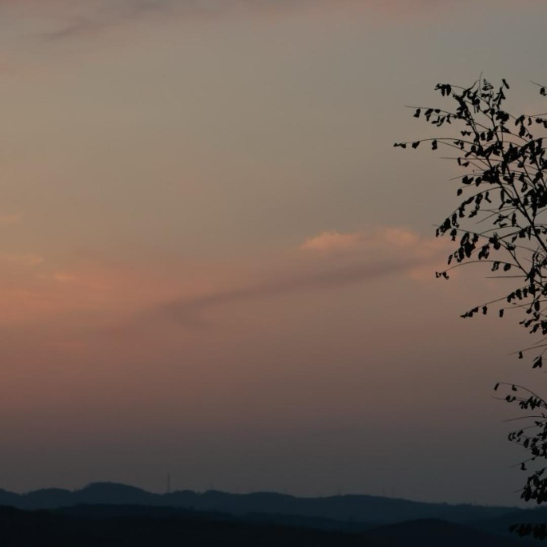 吹梦到西洲⁸³²