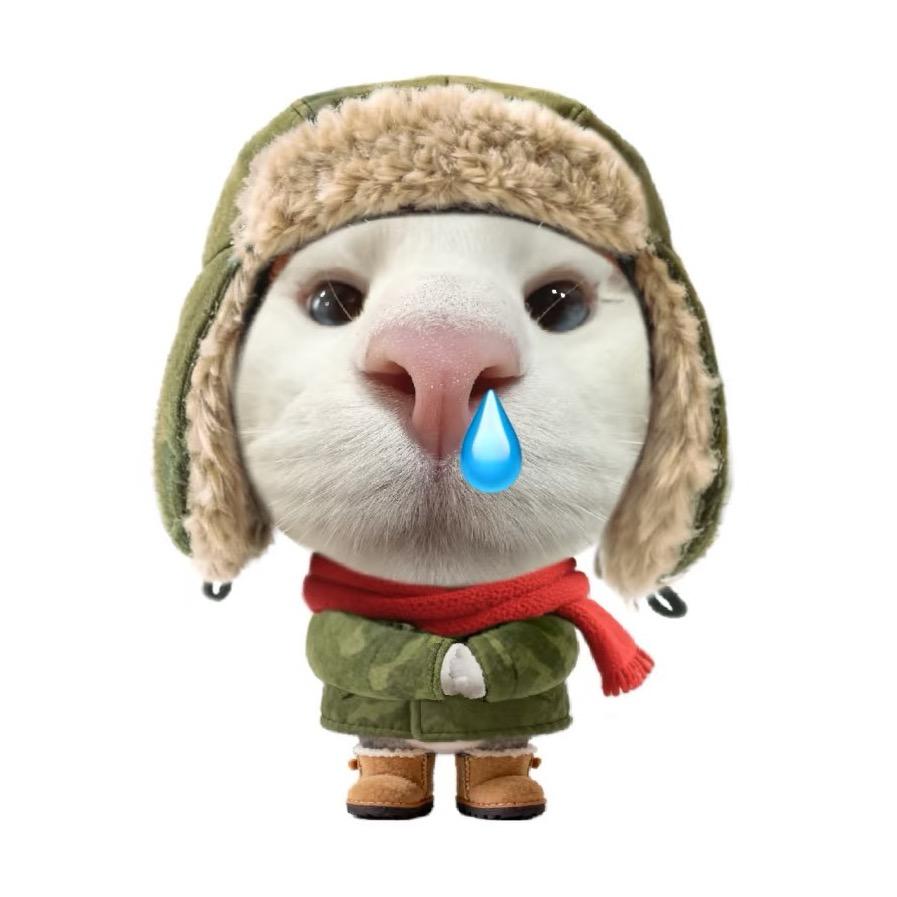 朕不戴蒸汽眼罩难入眠也