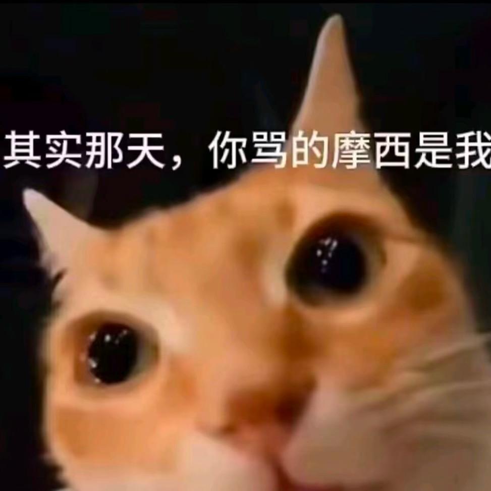观星拆卡社