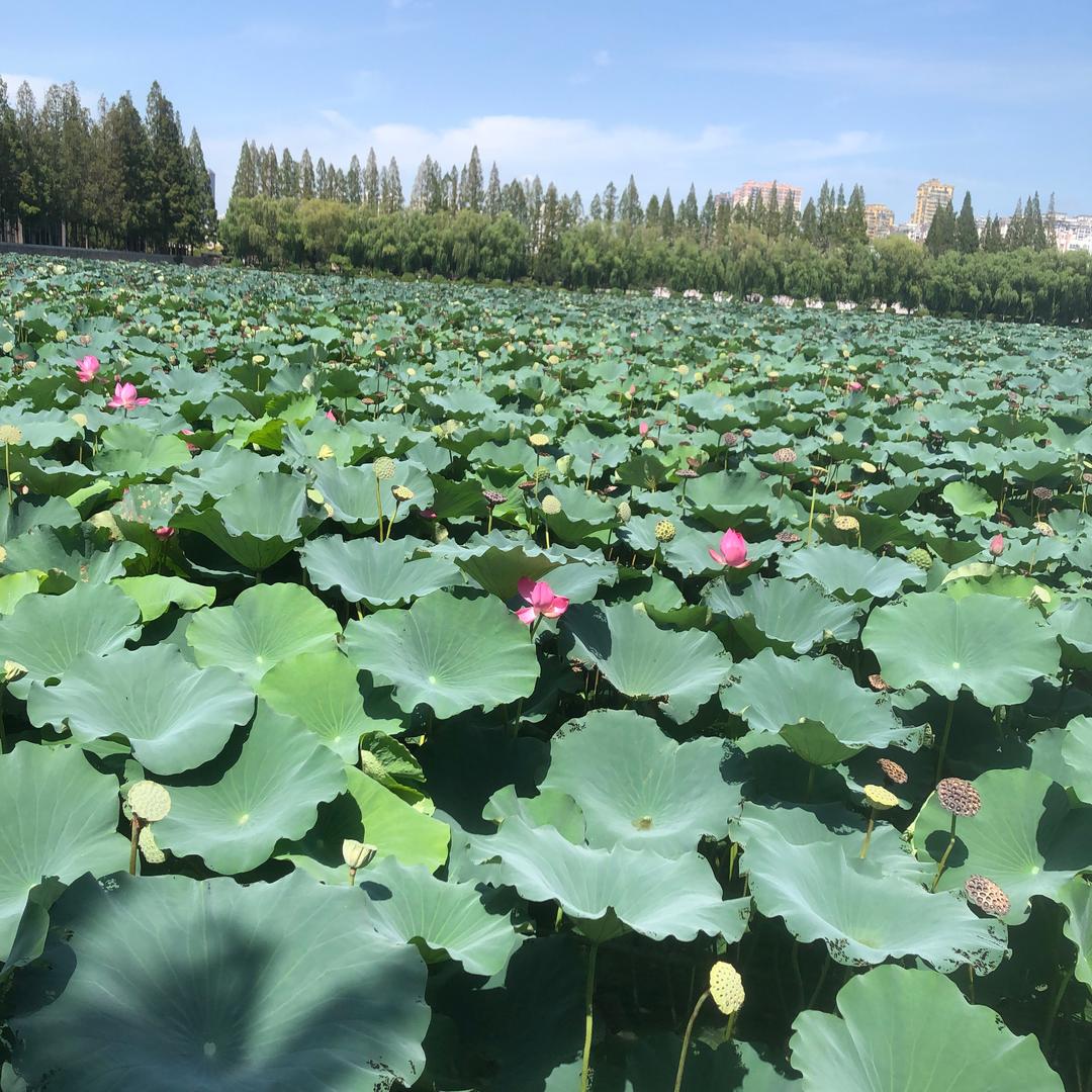 两袖清风
