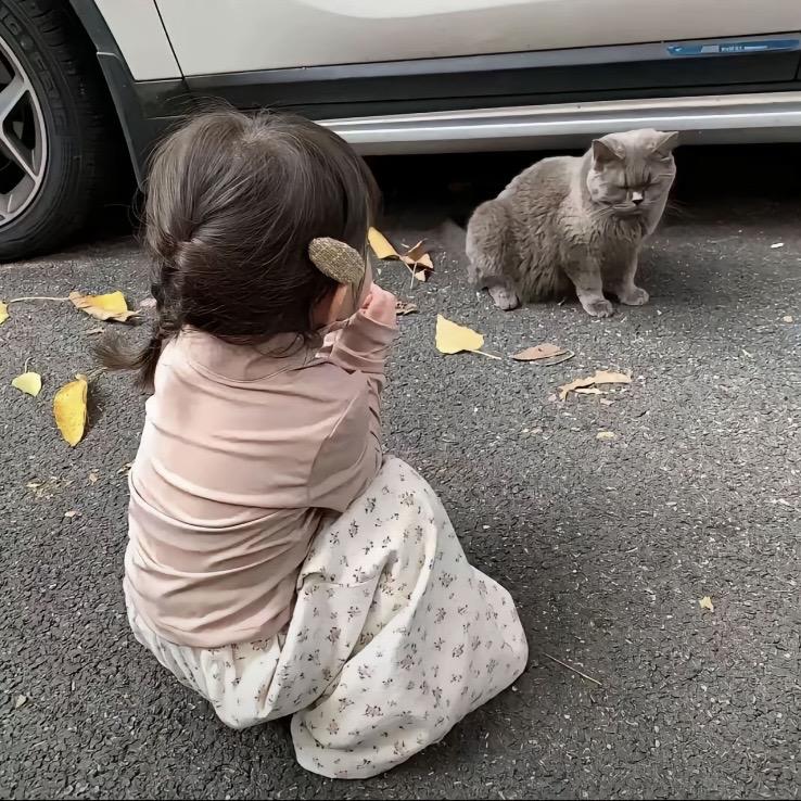 77岁农村老大爷离婚带200个娃娃菜