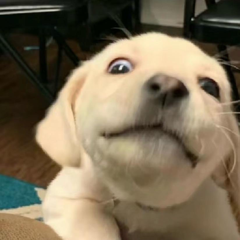 我的世界九折的表哥