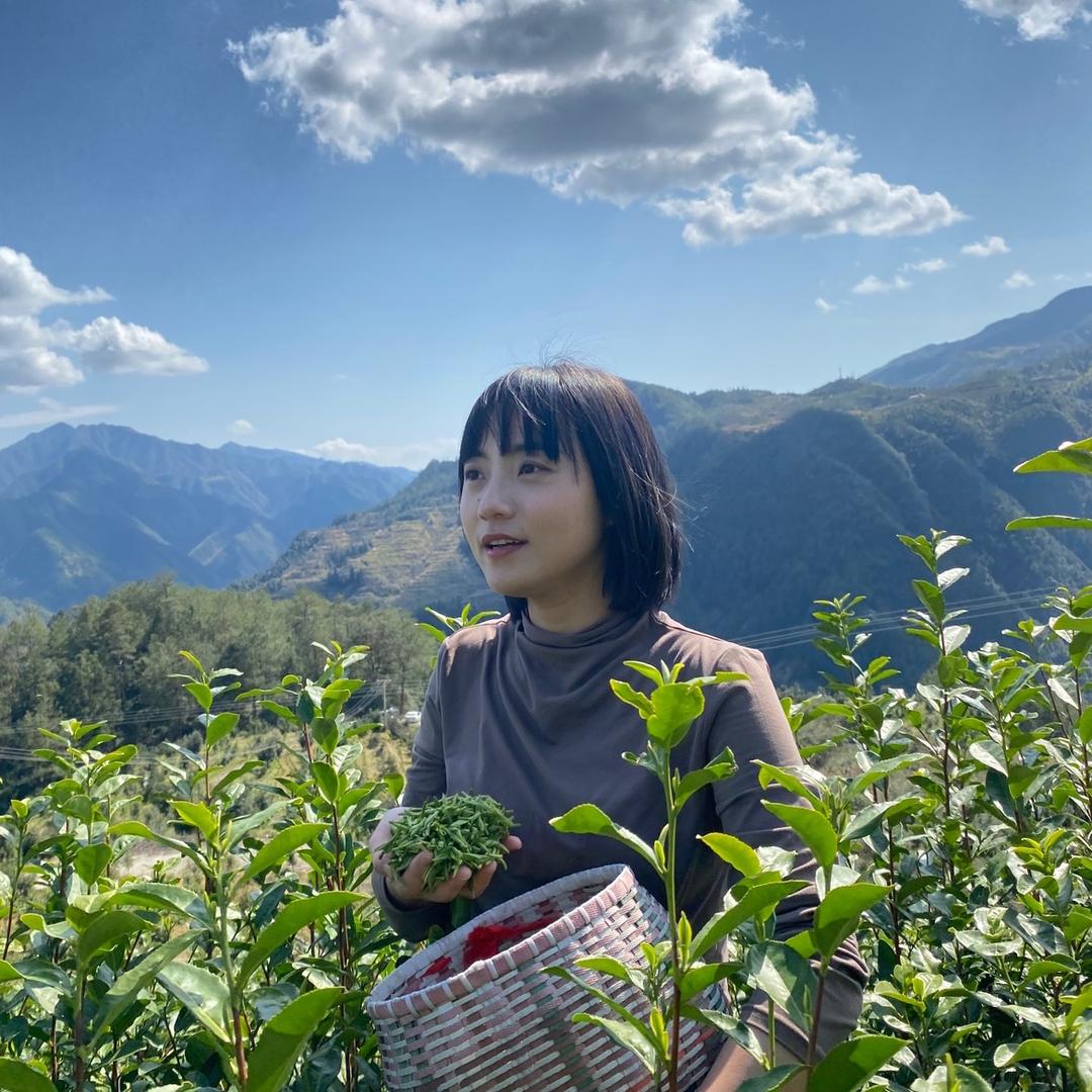 茶园忆