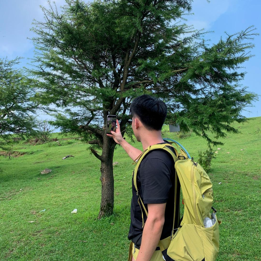 晨wang