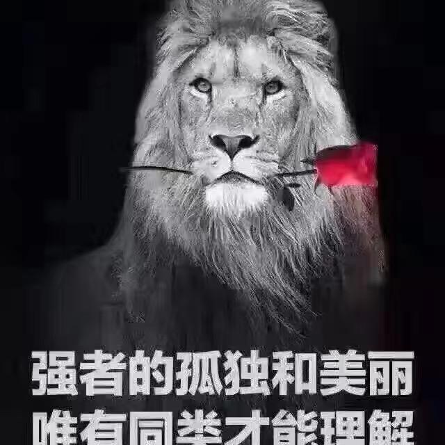 顶端模型