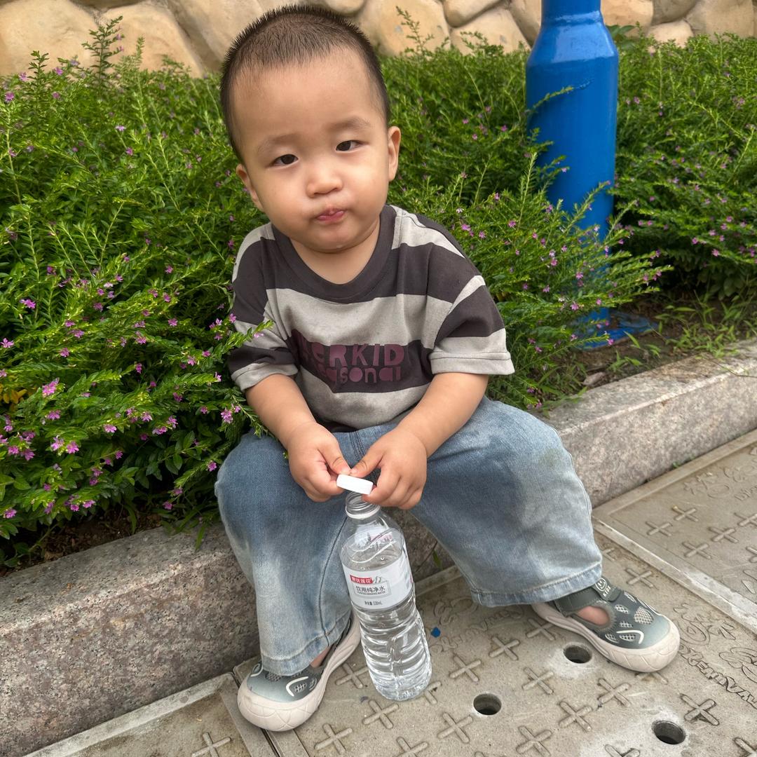 小麦崽