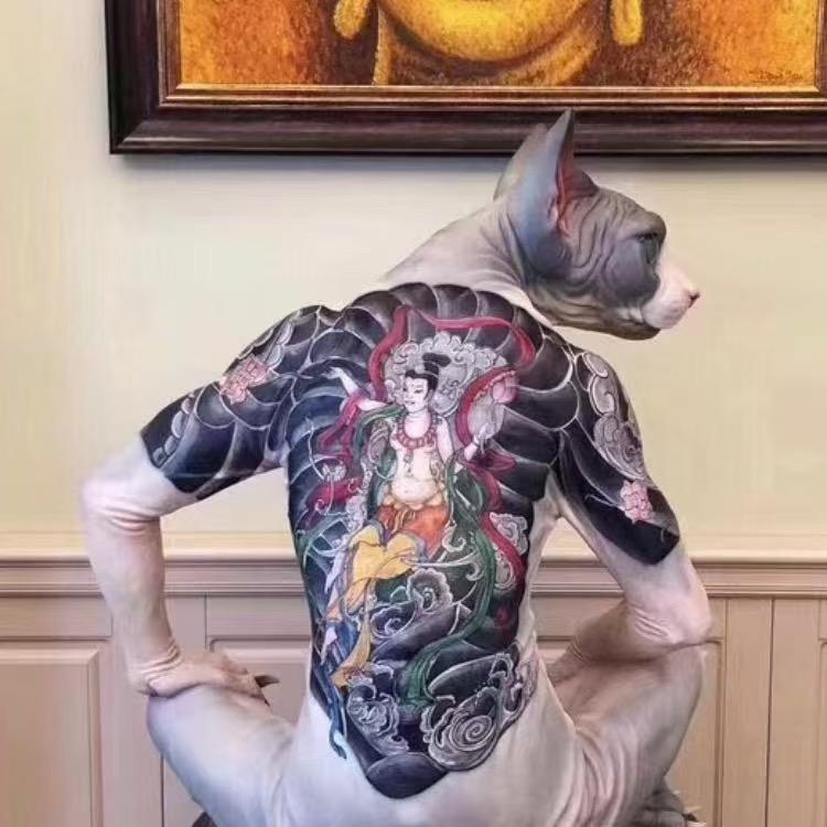 猎犬推荐官🐶