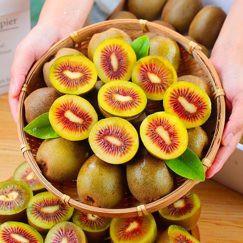 CHIXIANG再义果树苗木专卖店