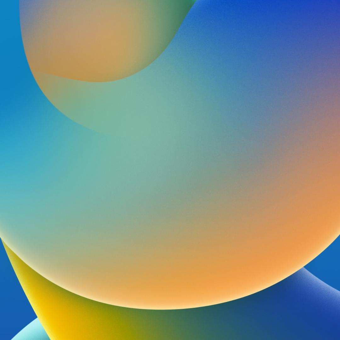霖宝