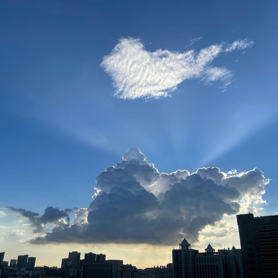 春日宴🍯（26号有空）