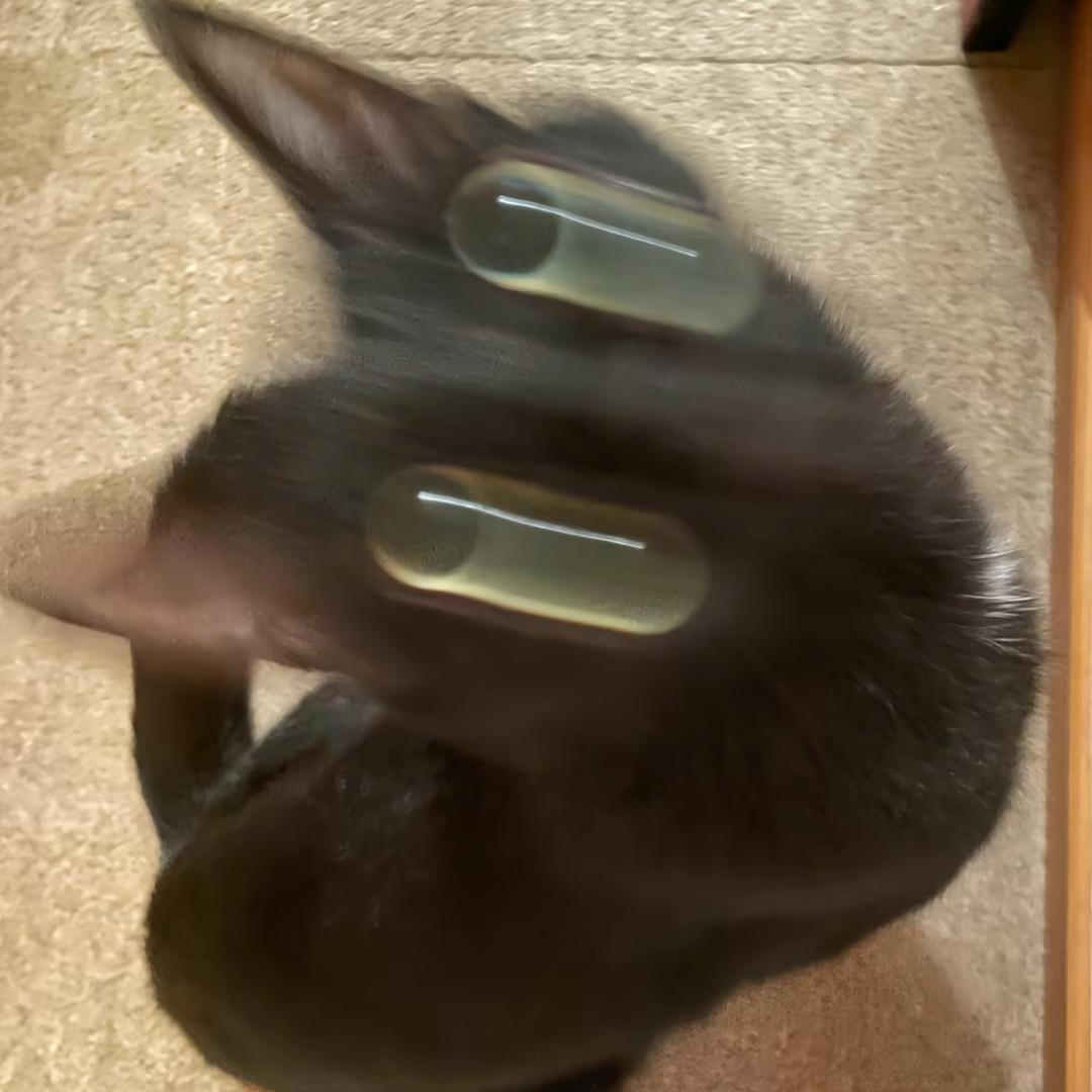 乐乐哥（acl重建版）