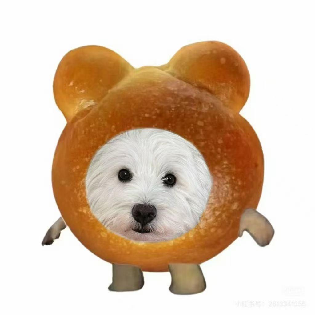 困困熊