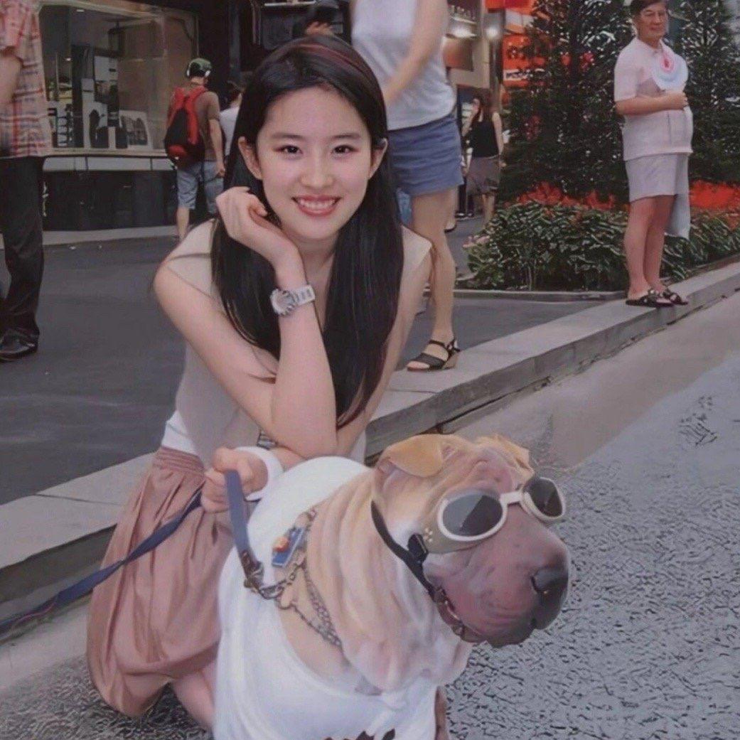 福福是只喵