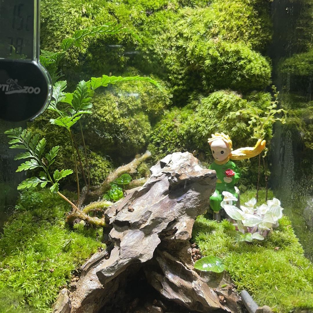 小浩浩