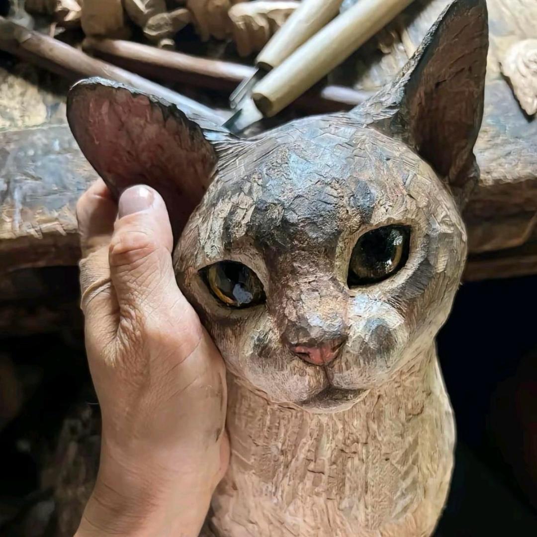 我吃饱时候不饿