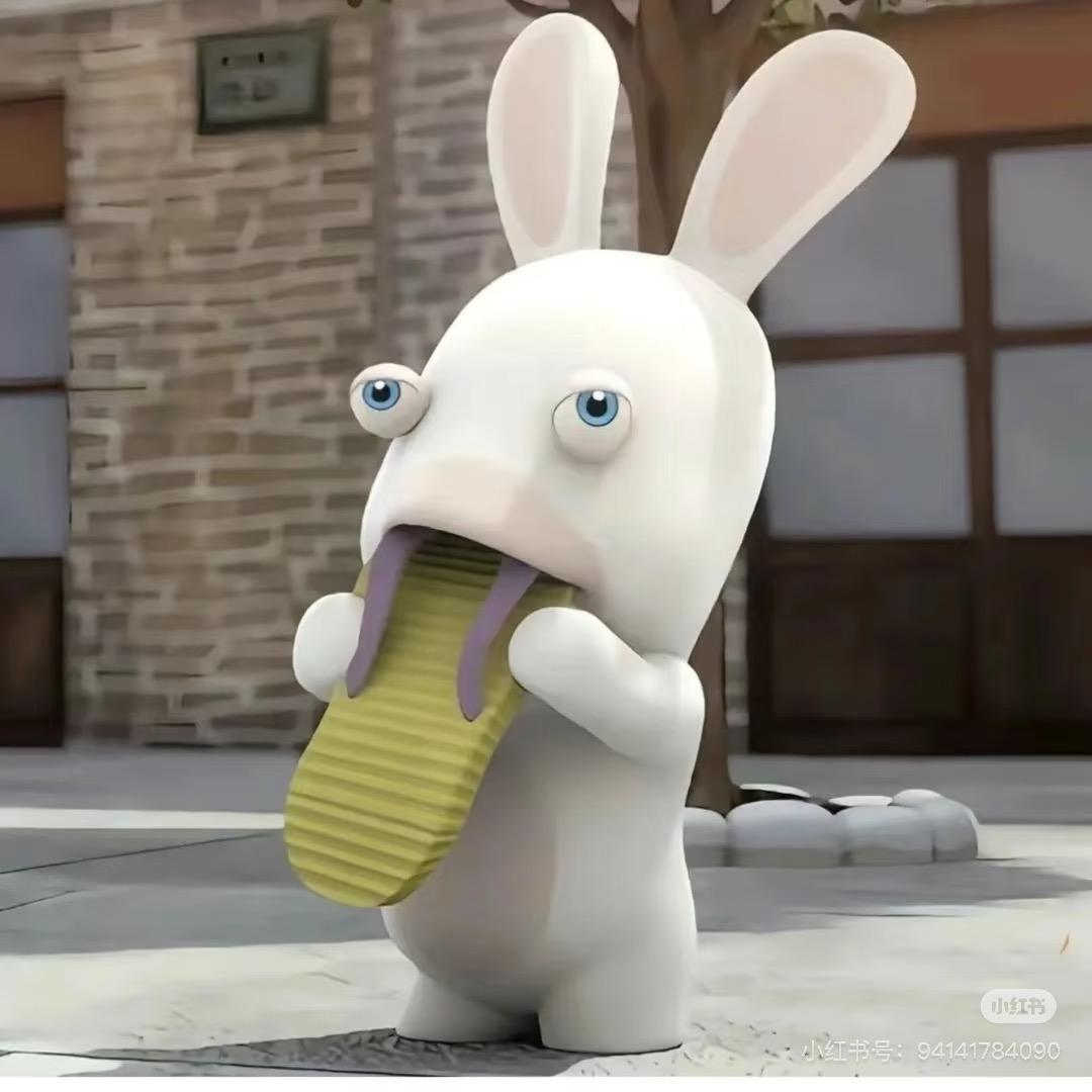 吃拖鞋的兔子