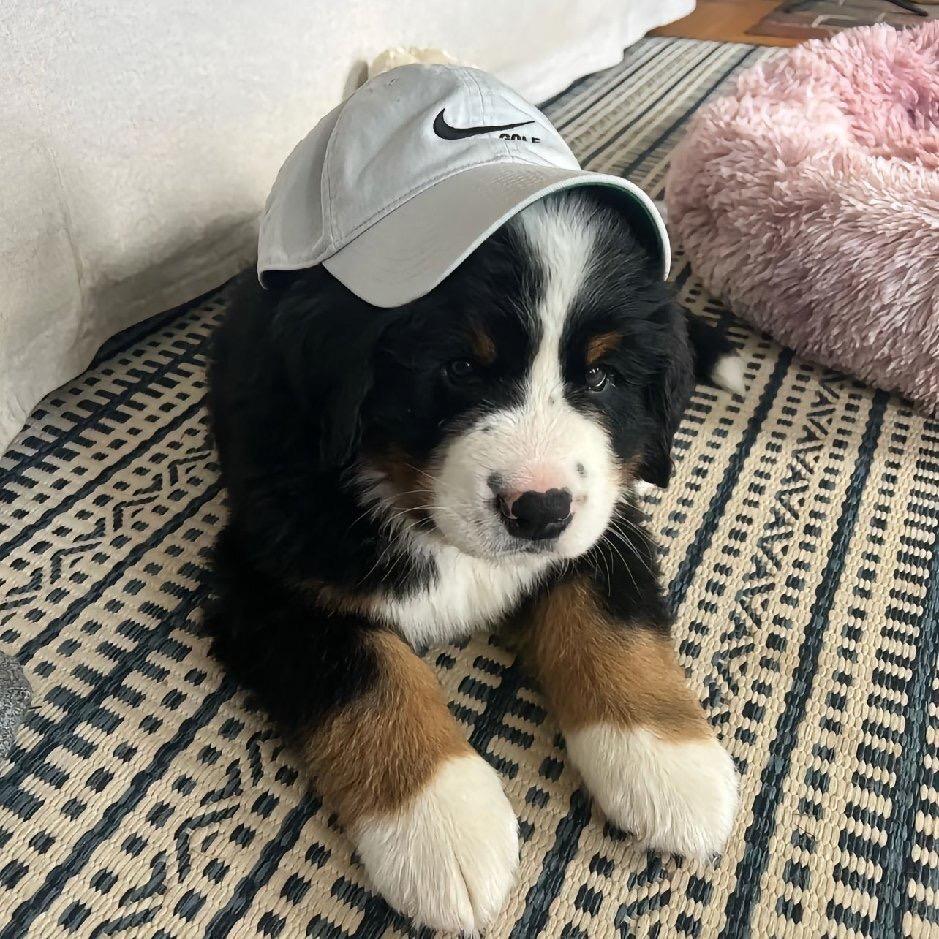 小胖邀您欣赏世界（直播号）