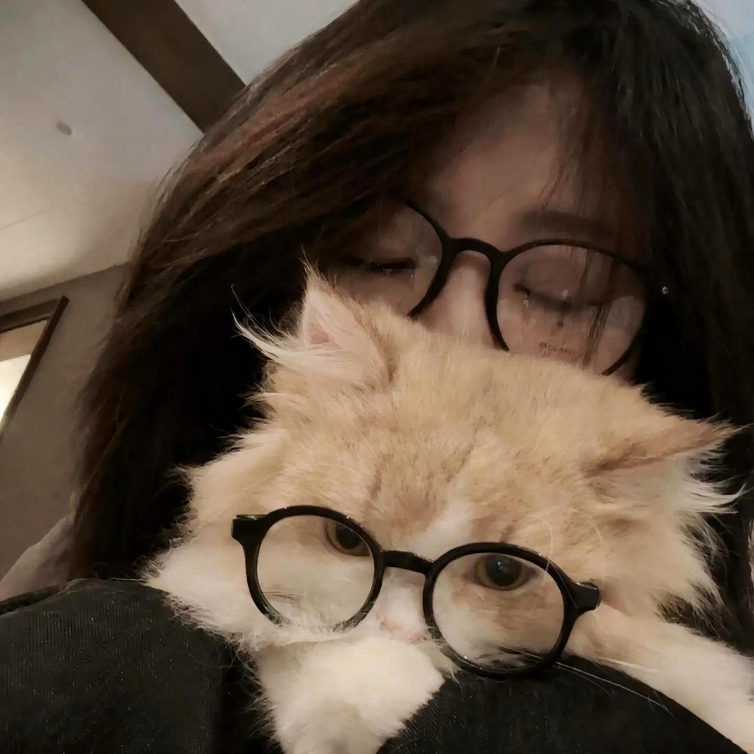 💫凌晨一点的猫