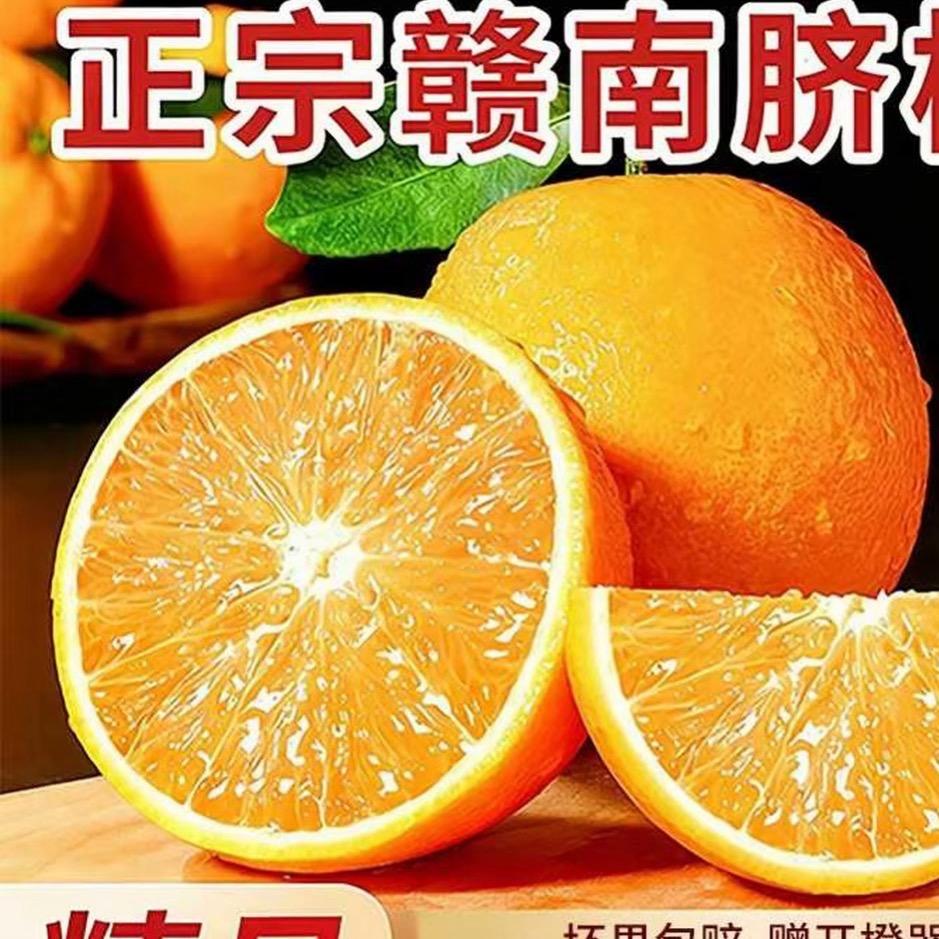 赣南脐橙次日到