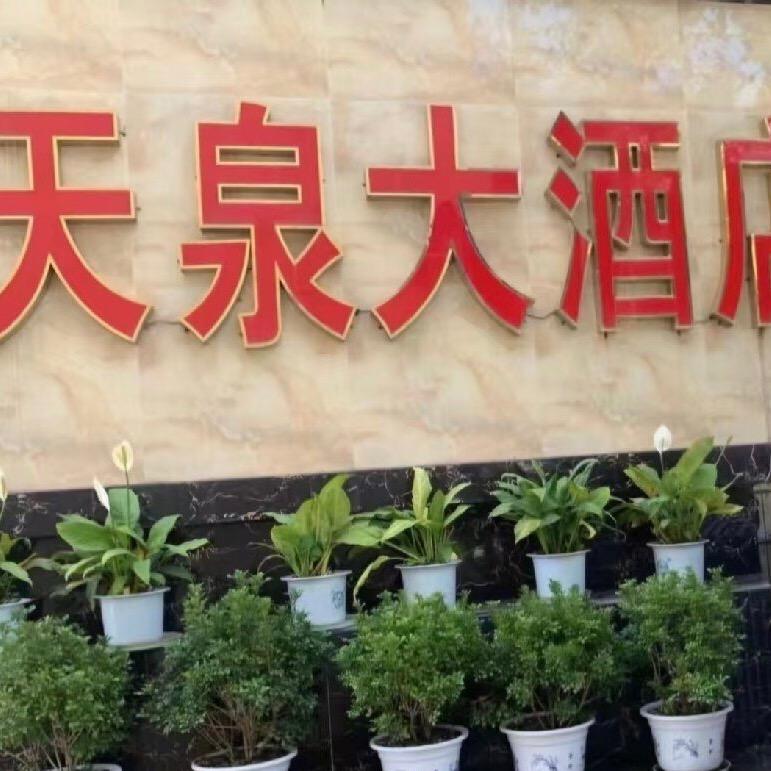 天泉酒店官方号