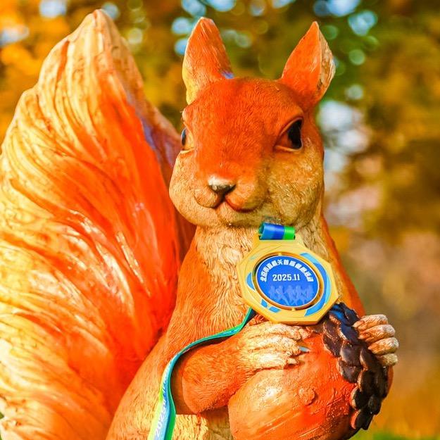 爱吃土豆的洋芋