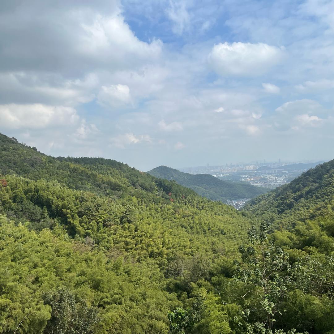 聚丰源纺织有限公司