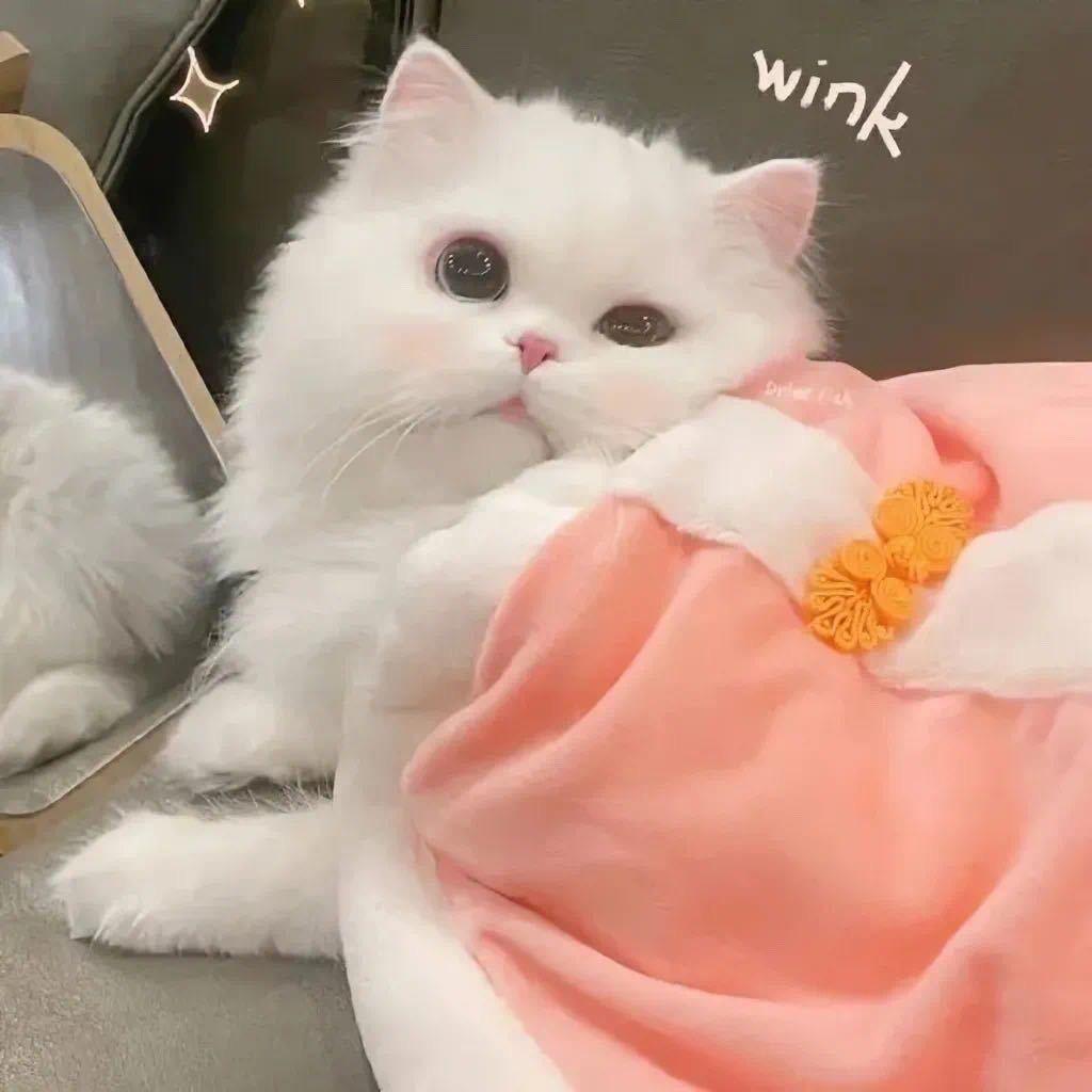 莣