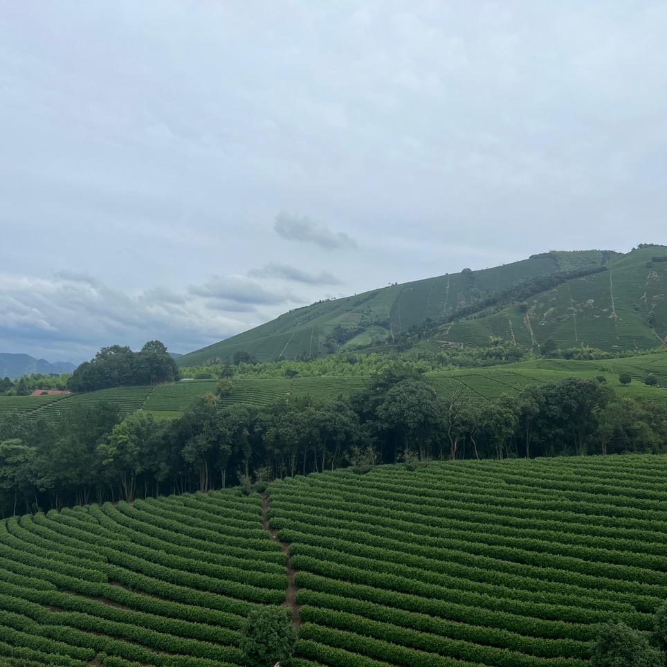 🌈潮起潮落🌈🌈🌈