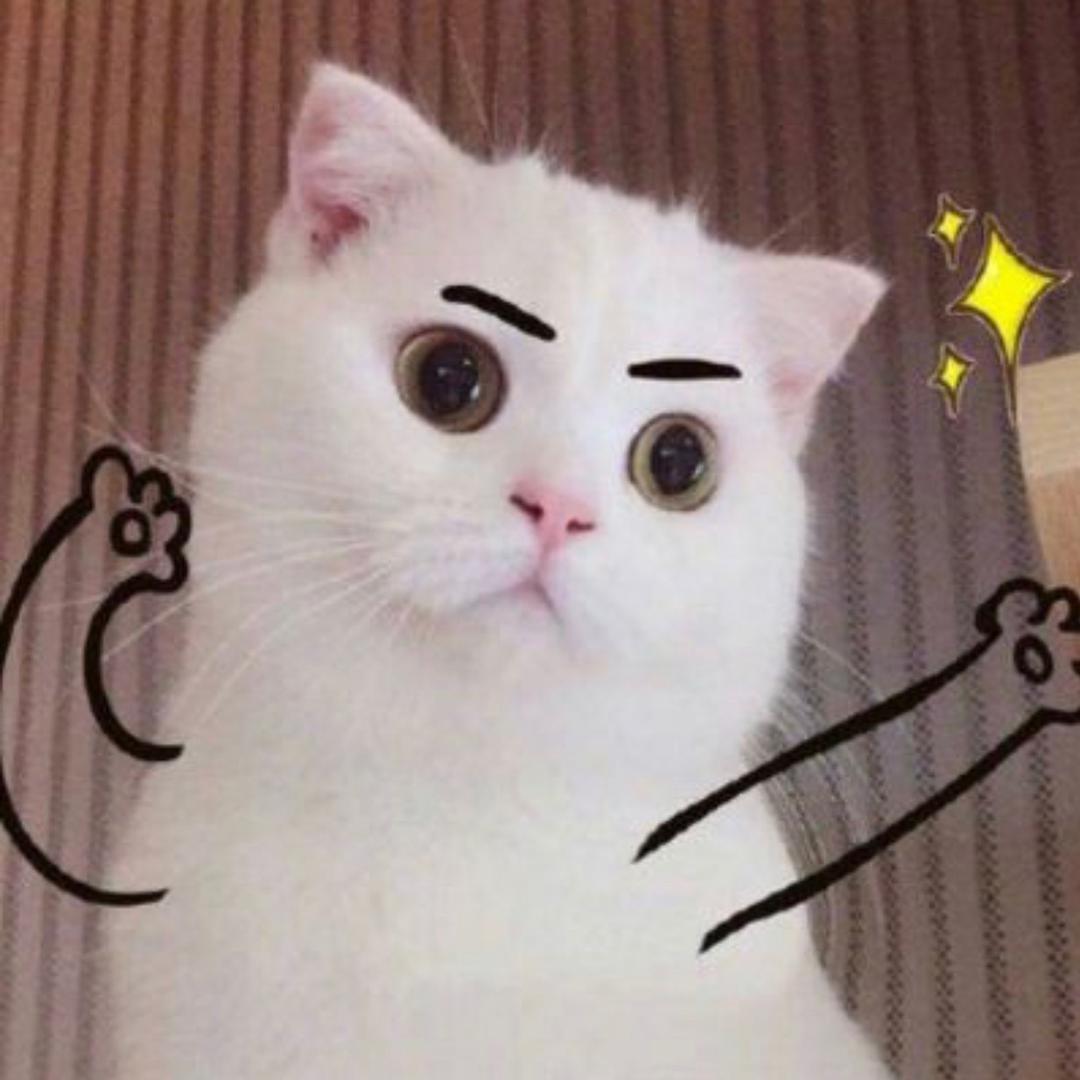 逆战看雪