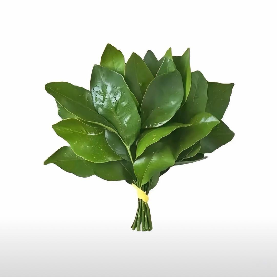 早点睡₈