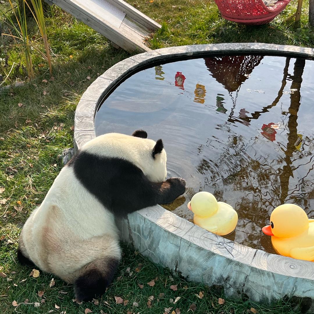 五分之三饱
