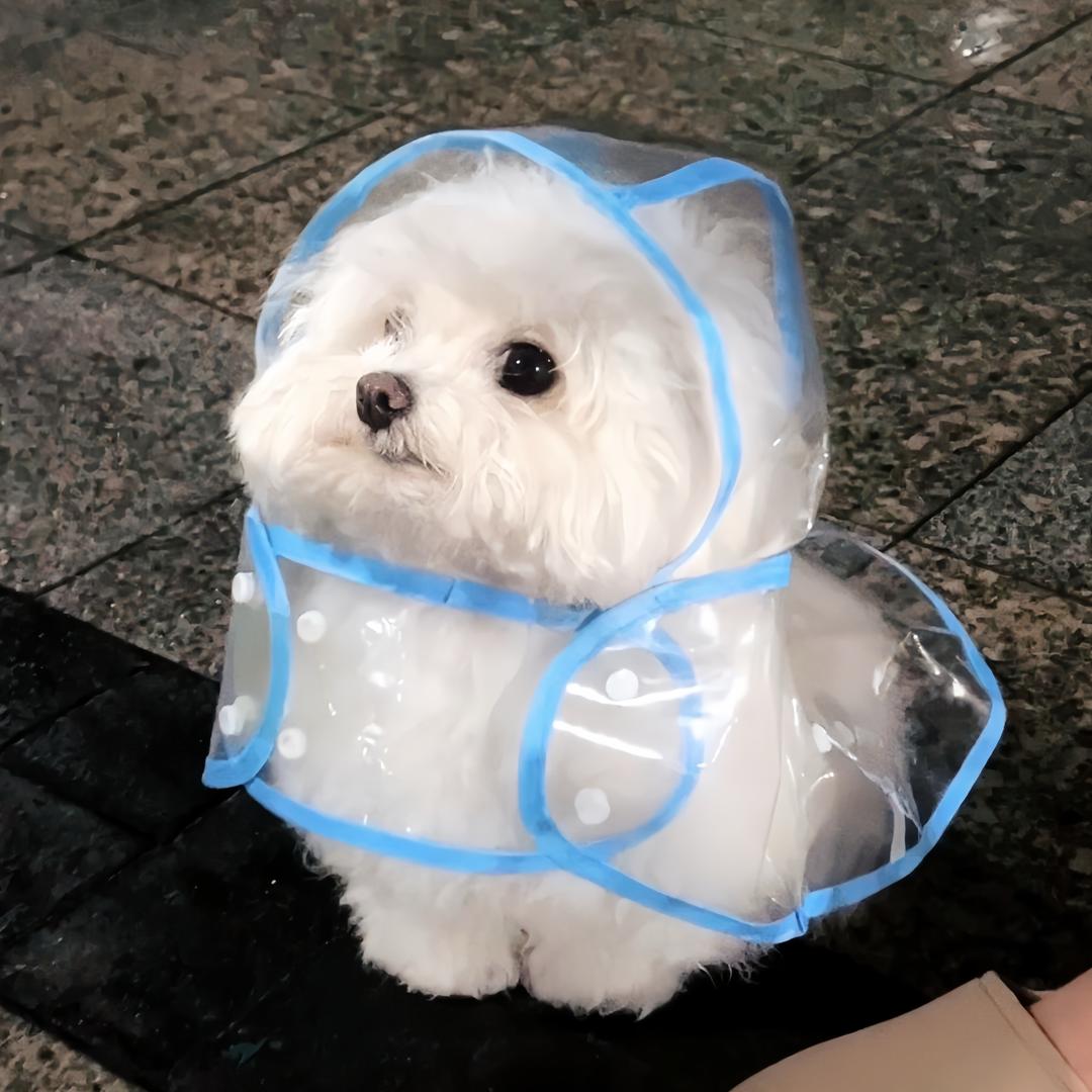 雪不灵