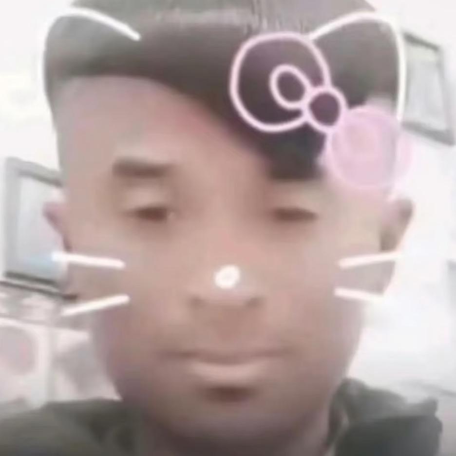 漂亮的小猫咪喵喵~