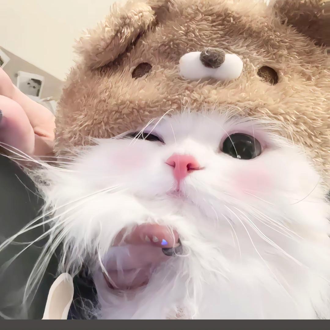 小羊🐑同学