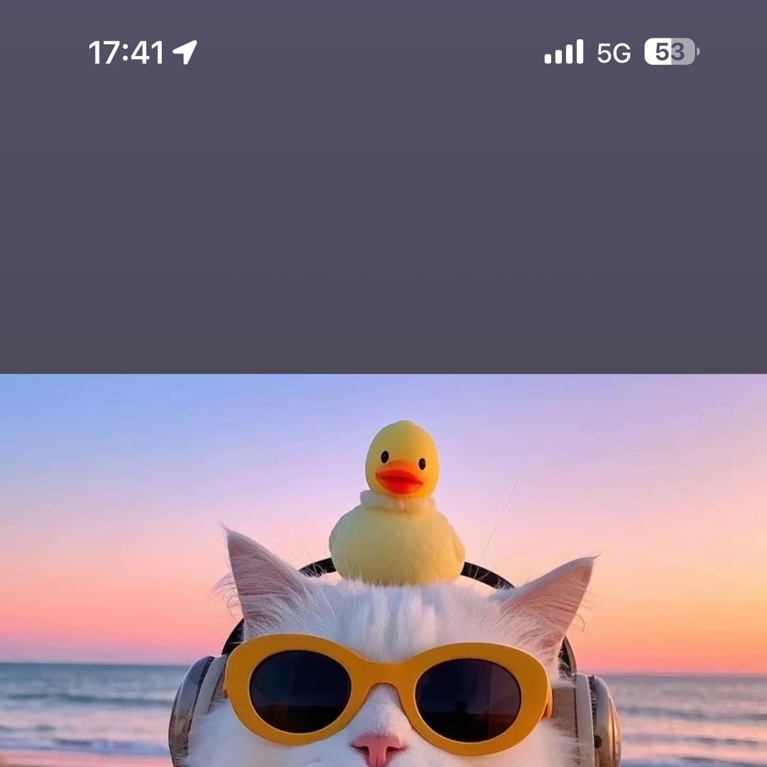 HAZINA新潮好物个体店