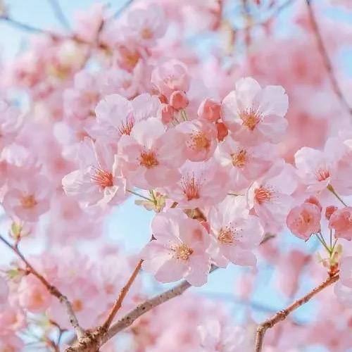 悦享生活💕