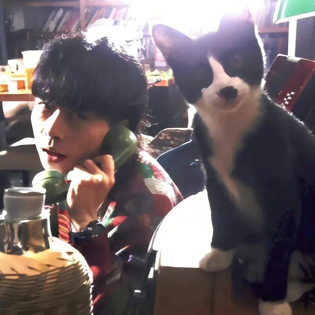 -恒-🎮