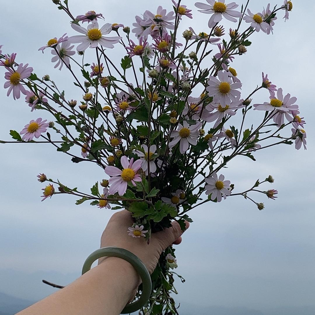 心静如水
