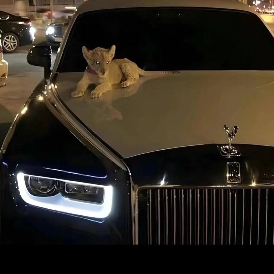 吴迪🏅