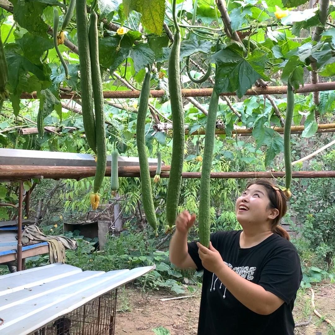 柳姐爱生活（日常）