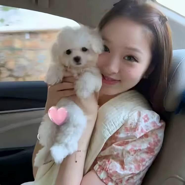 小轩妹妹^