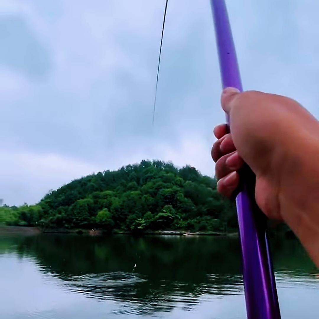 鱼渔跃龙门户外🎣