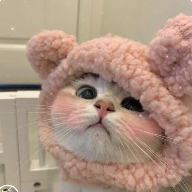 .雪睿