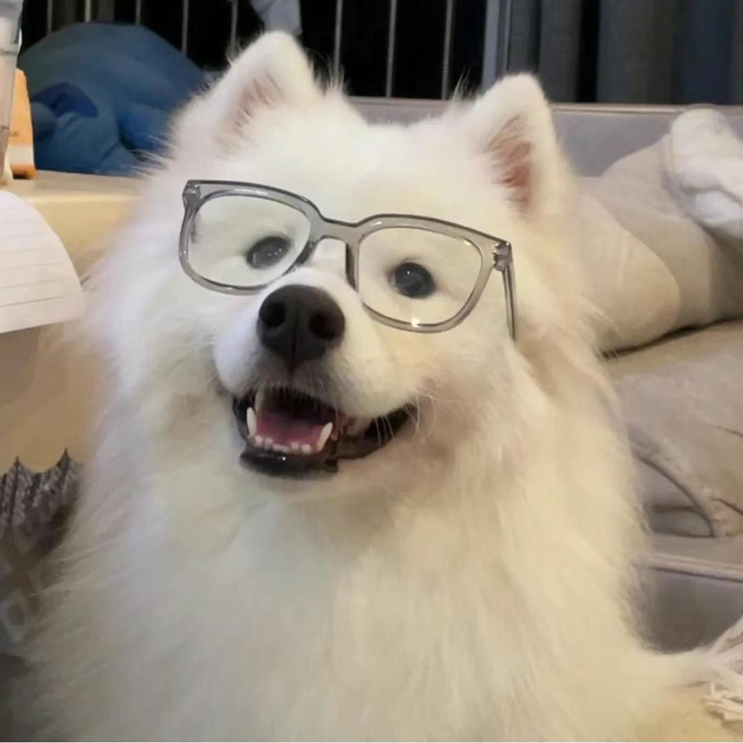 是耶耶耶