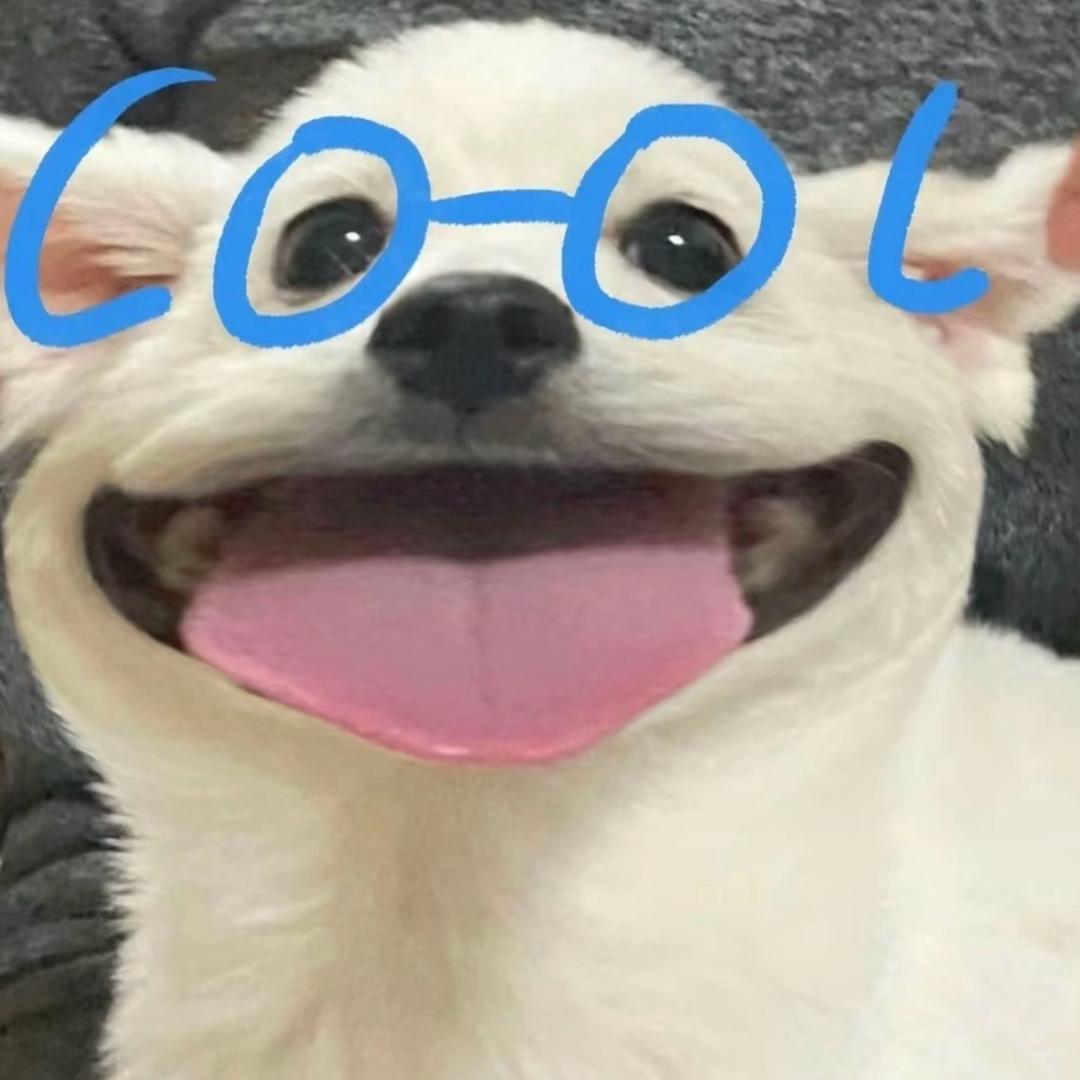 快乐小毛豆
