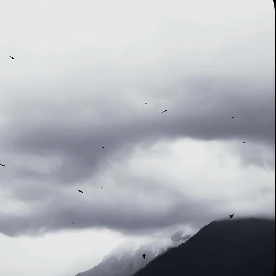 . d